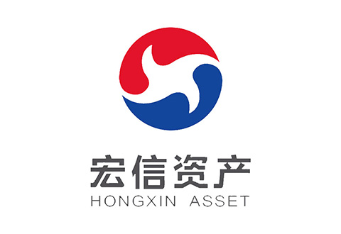 资产公司VIS设计